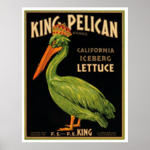 Affiche King Pelican Lettuce