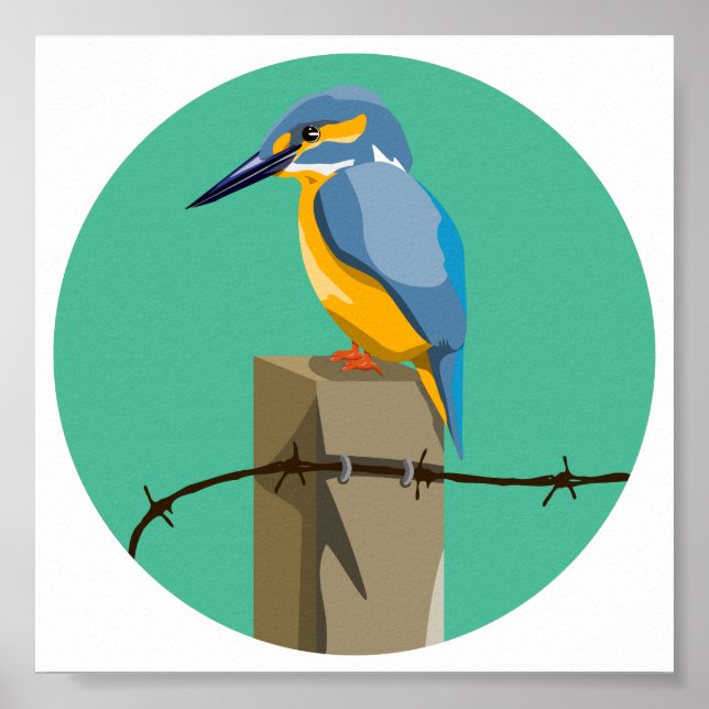 Affiche Kingfisher (Devant)
