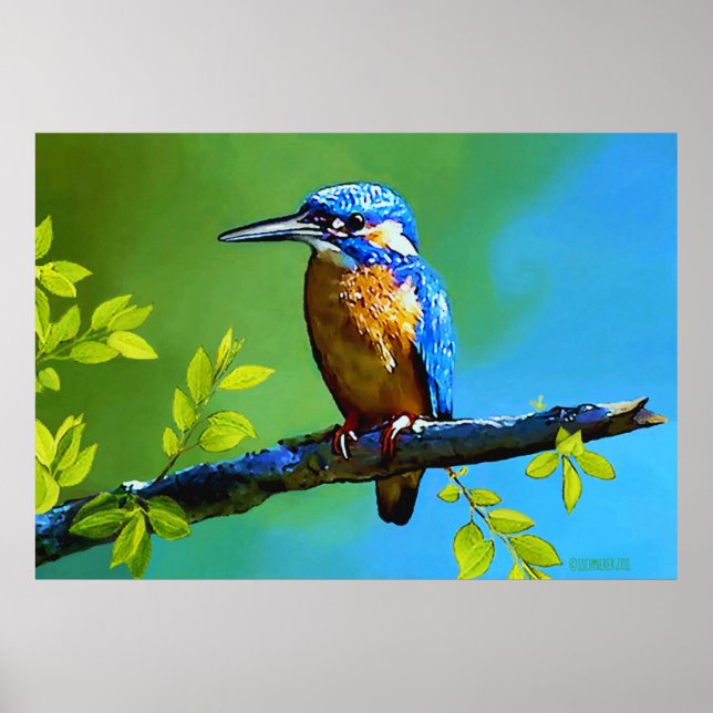 Affiche Kingfisher (Devant)