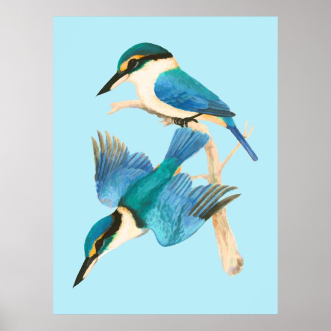 Affiche Kingfisher Birds Aquarelle bleue (Devant)