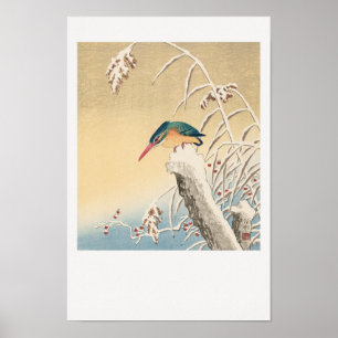 Affiche Kingfisher dans la neige