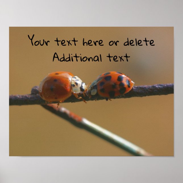 Affiche Kisser Ladybugs Personnalisé (Devant)