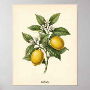 Affiche Kit de Maison de Ferme Botanique de Citron Vintage