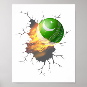 Affiche Kit de supporteurs de cricket pakistanais Cadeau P