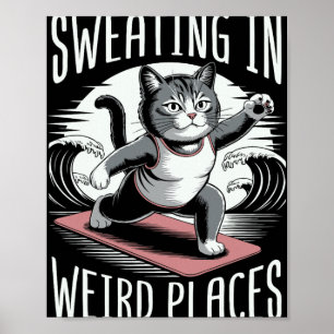 Affiche Kit de yoga pour chat d'aérobic Chaton transpirant