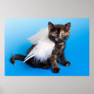 Affiche Kitten Avec Ailes