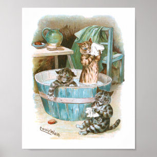 Affiche Kitten Bath par Louis Wain