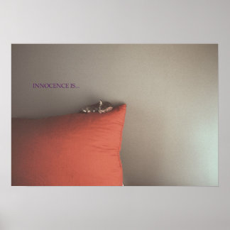 Affiche Kitten En Paix