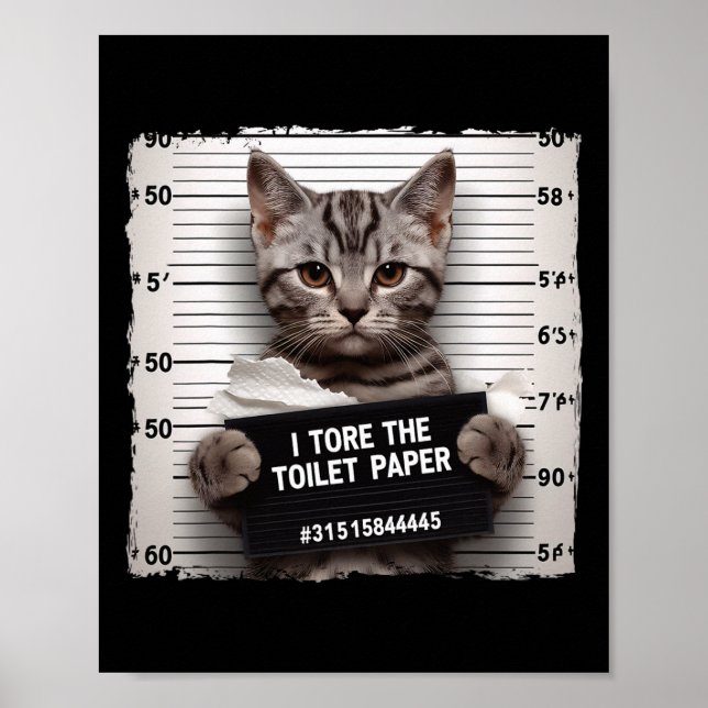 Affiche Kitty Jail Photo J'Ai Rasé Le Papier Toilette Mauv (Devant)