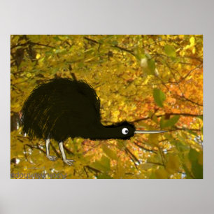 Affiche Kiwi calme