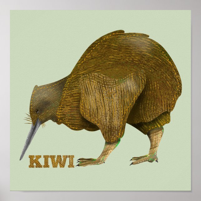 Affiche Kiwi N.Z. Bird (Devant)