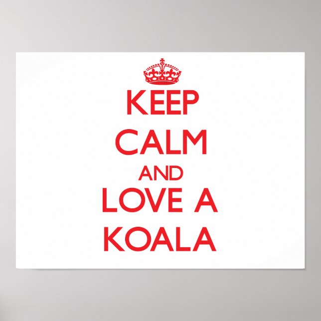 Affiche Koala (Devant)
