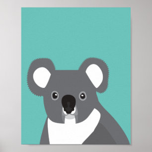 Affiche Koala