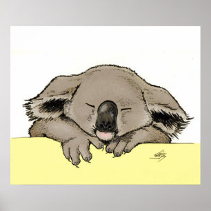 Affiche Koala couché