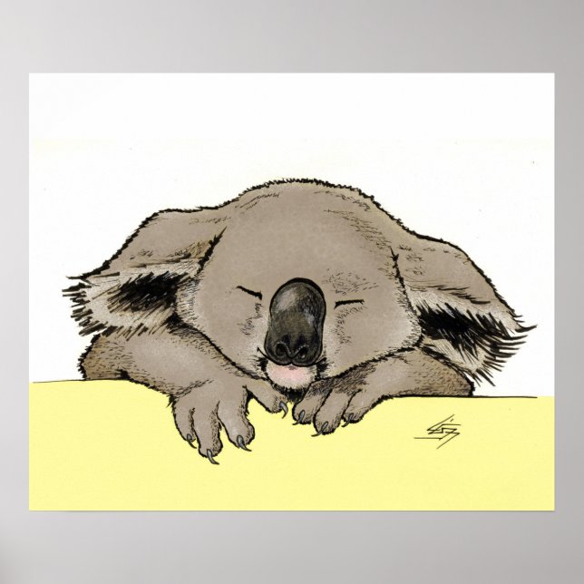 Affiche Koala couché (Devant)