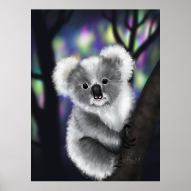 Affiche Koala rêve dans une forêt enchantée (Devant)