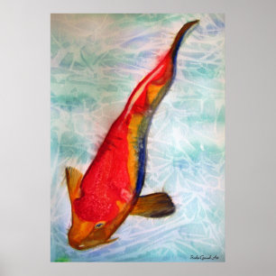 Affiche Kohaku Koi fish original watercolor art
