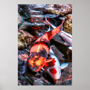 AFFICHE KOI FISH DUET