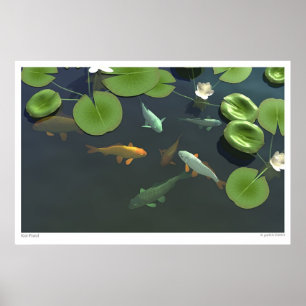 Affiche Koi Pond