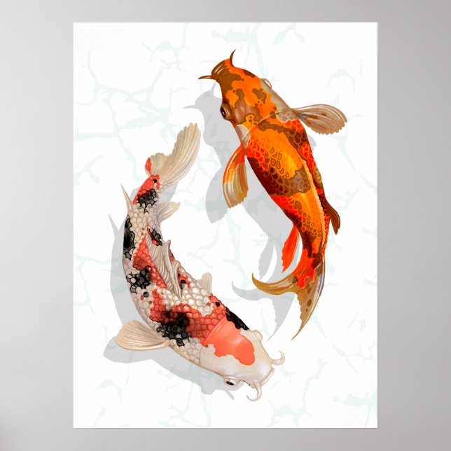 Affiche Koi Pond japonais (Devant)
