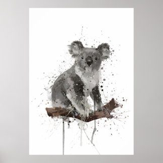 Affiche Kola Bear