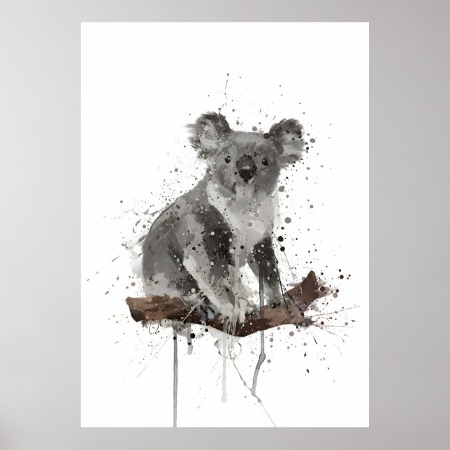 Affiche Kola Bear (Devant)