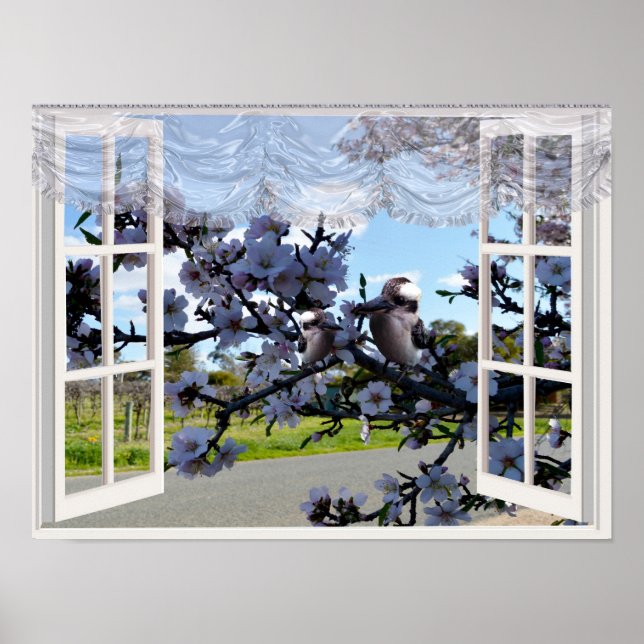 Affiche Kookaburras Dans Ma Fenêtre, (Devant)