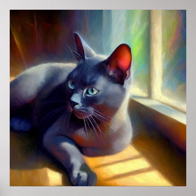 Affiche Korat Cat (Devant)