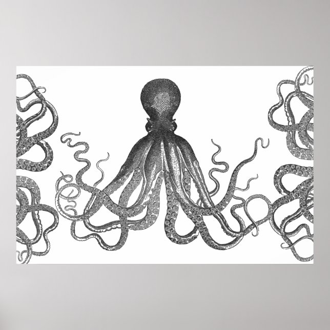 Affiche Kraken - Octopus géant noir / Cthulu (Devant)