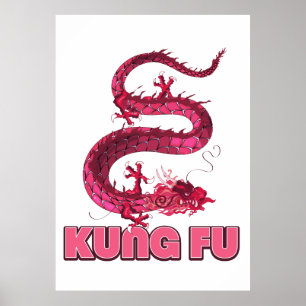 Affiche kung fu