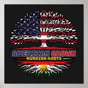 Affiche Kurdistan Kurdish US American États-Unis Tr