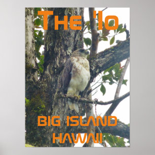 Affiche L'"Io BIG ISLAND HAWAII