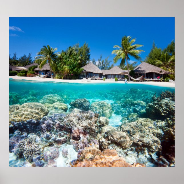 Affiche La barrière de corail et la station tropicale (Devant)
