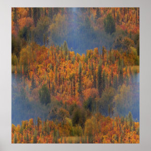 Affiche La beauté à l'automne....