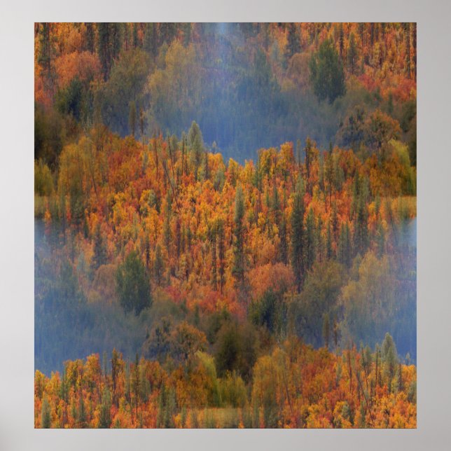 Affiche La beauté à l'automne.... (Devant)