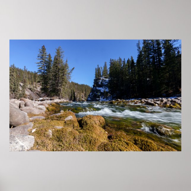 Affiche La beauté captivante de la rivière Athabasca (Devant)
