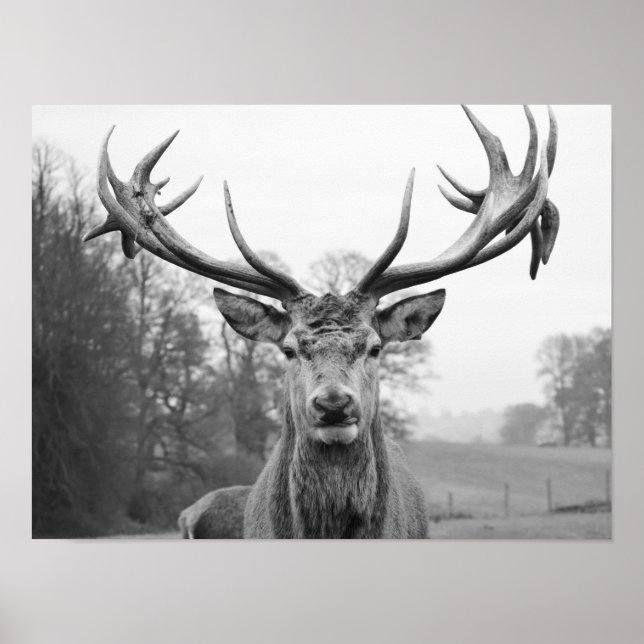 Affiche La beauté dans la nature (Devant)