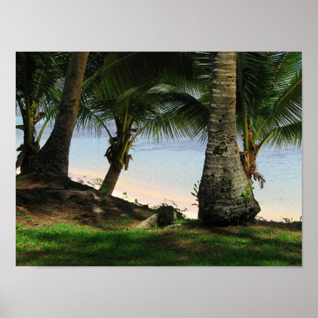 Affiche La beauté de Guam (Devant)