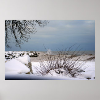 Affiche La beauté de l'hiver