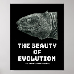 Affiche La beauté des requins de l'évolution