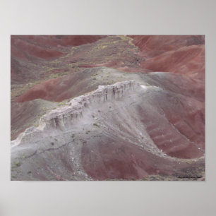 Affiche La beauté majestueuse du désert peint