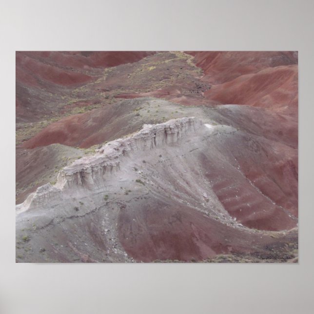 Affiche La beauté majestueuse du désert peint (Devant)
