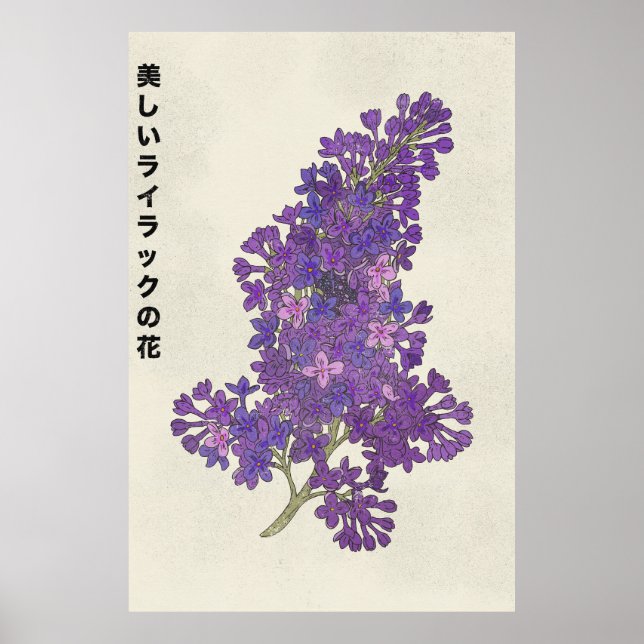 Affiche La Belle Fleur de Lilas (Devant)