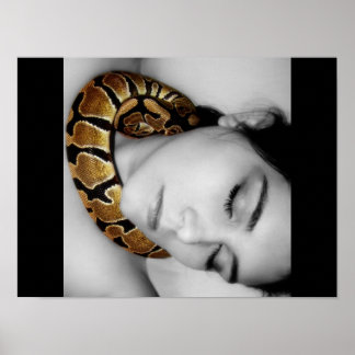 Affiche La berceuse de Python