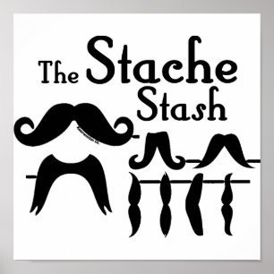 Affiche La cachette de Stache
