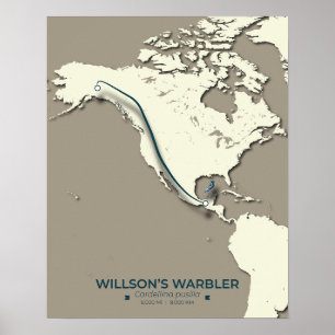 Affiche La carte de migration de la Paruline Wilson - Mini