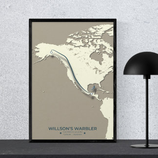 Affiche La carte de migration de la Paruline Wilson - Mini