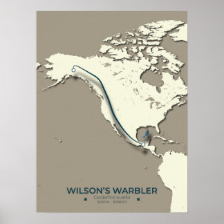 Affiche La carte de migration de la Paruline Wilson - Mini