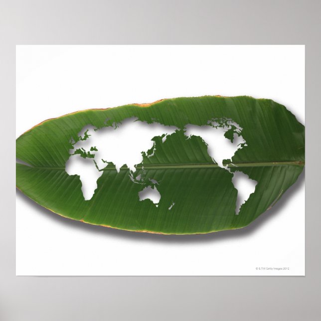 Affiche La carte du monde des feuilles de ver (Devant)