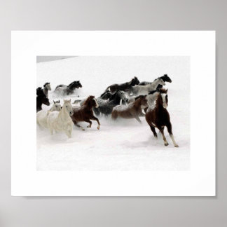 Affiche La charge des chevaux.